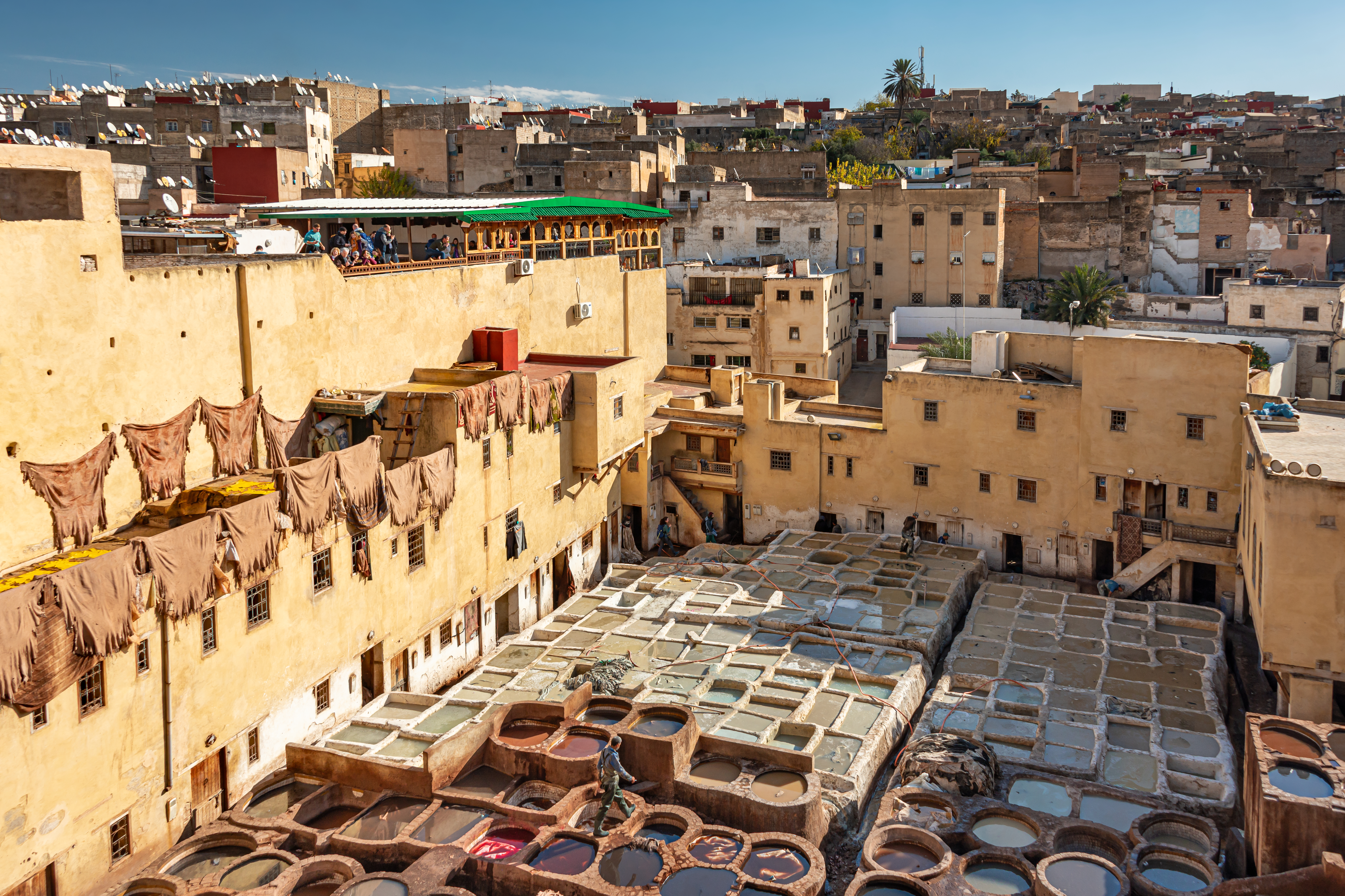 Chouara Tannery in Fez