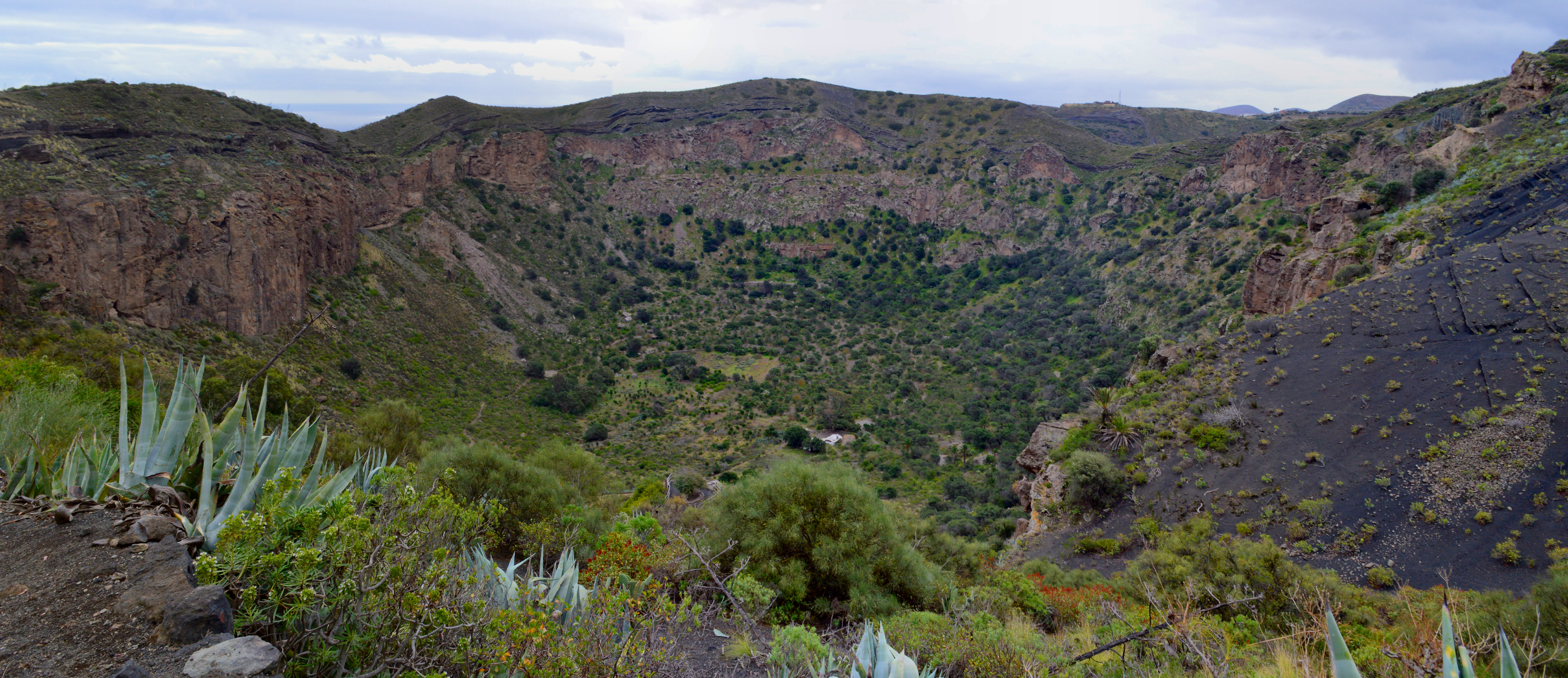 Caldera de Bandama in Las Palmas