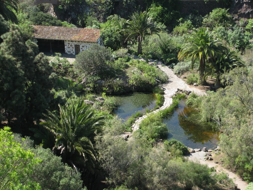 Jardín Canario in Las Palmas