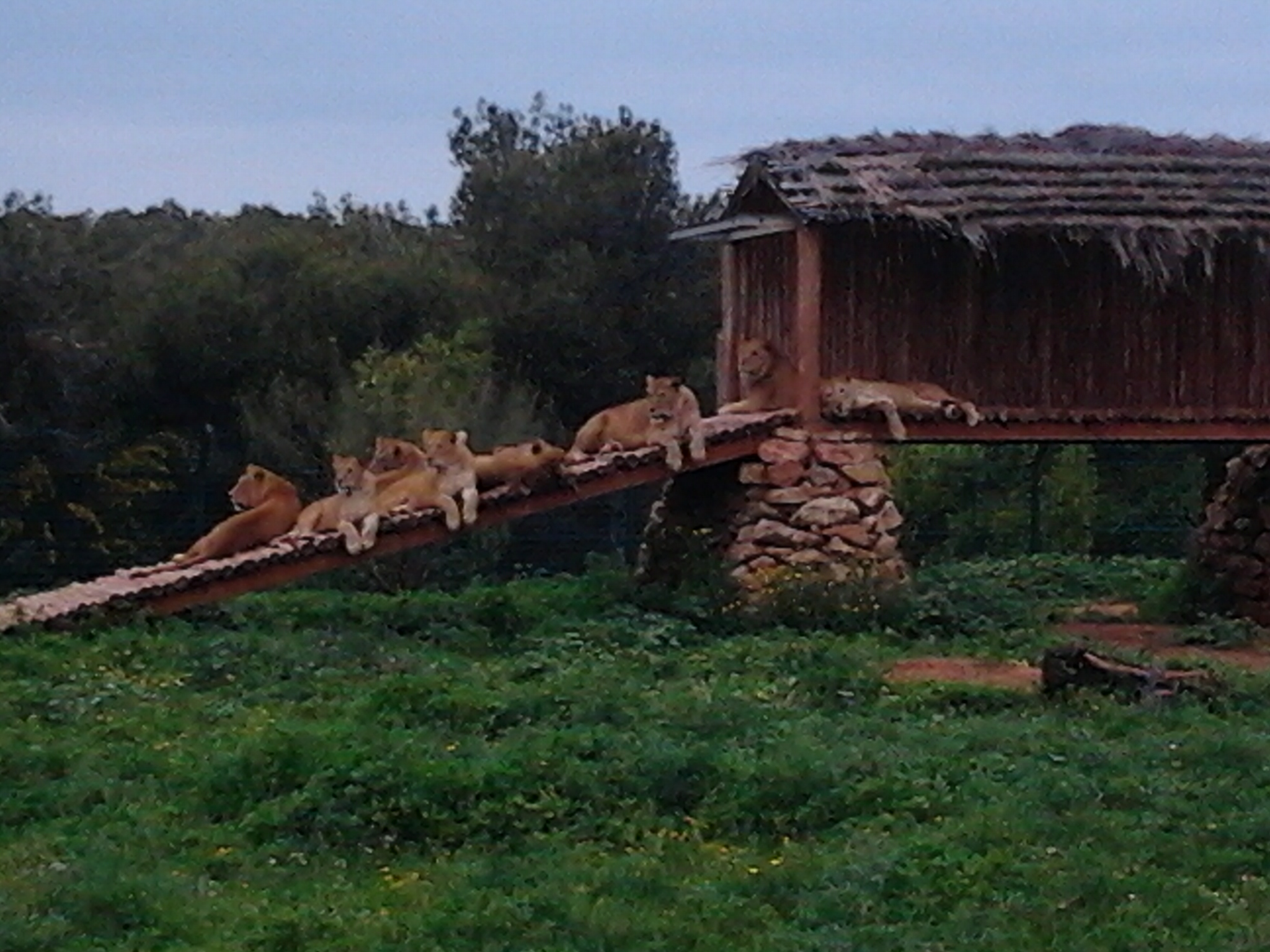 Rabat Zoo in Rabat