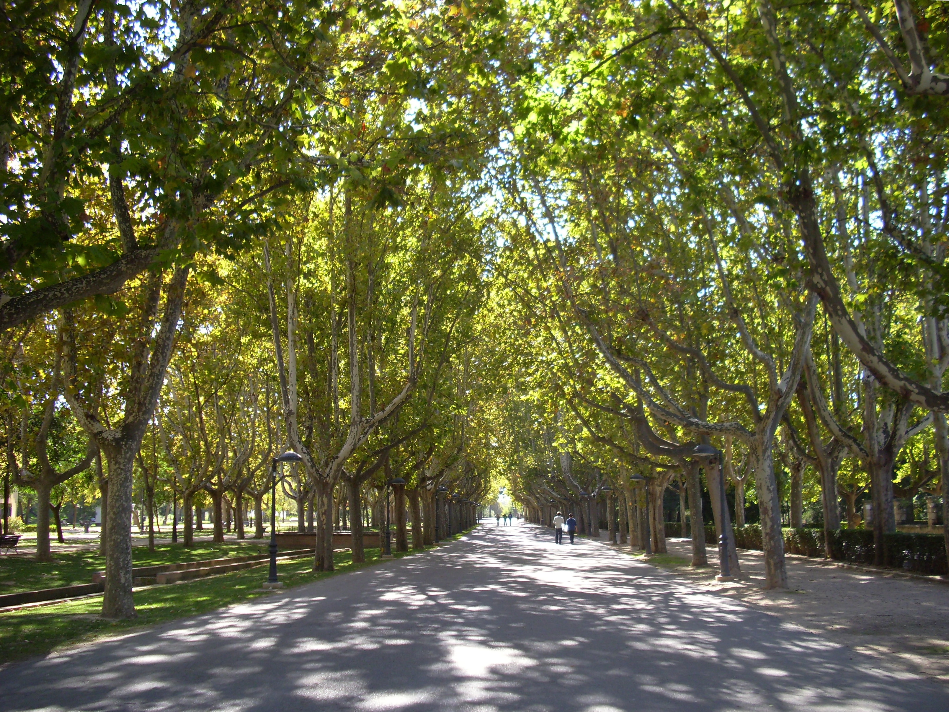 Parque Grande José Antonio Labordeta in Zaragoza