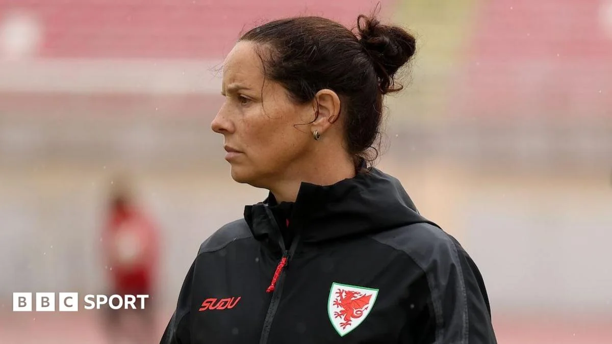 Wilkinson warns Wales against dangerous Albania as 1-0 lead stands